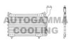 AUTOGAMMA 101839 Condenser, air conditioning